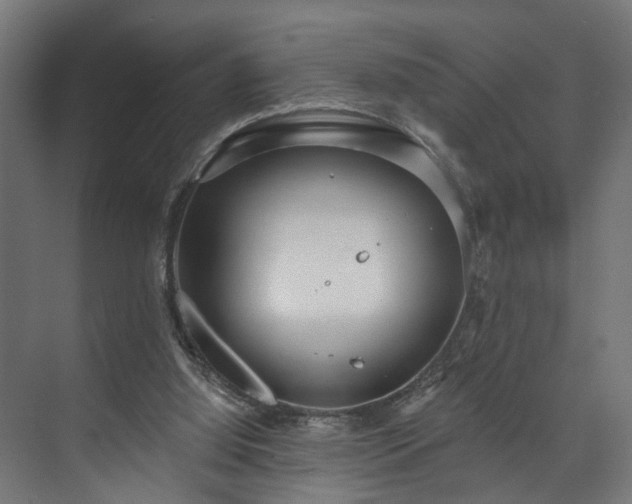 X0000073480060200608071031