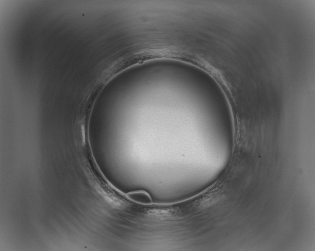 X0000073480061200608071031