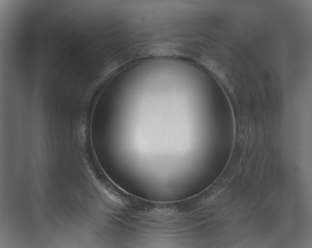 X0000073480063200608071031