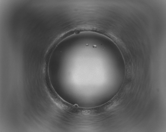 X0000073480064200608071031