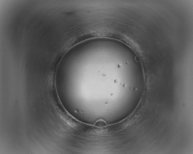 X0000073480065200608071031