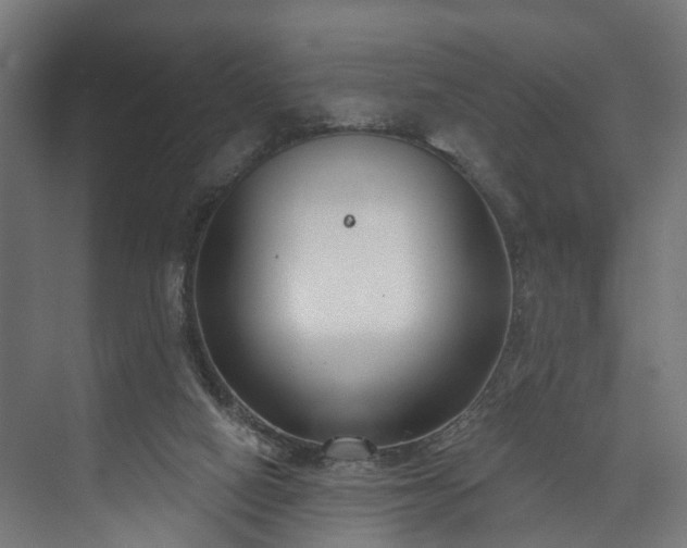 X0000073480066200608071032