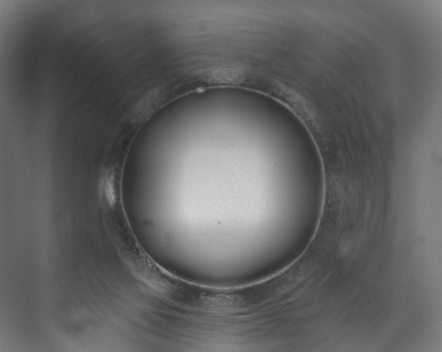 X0000073480069200608071032