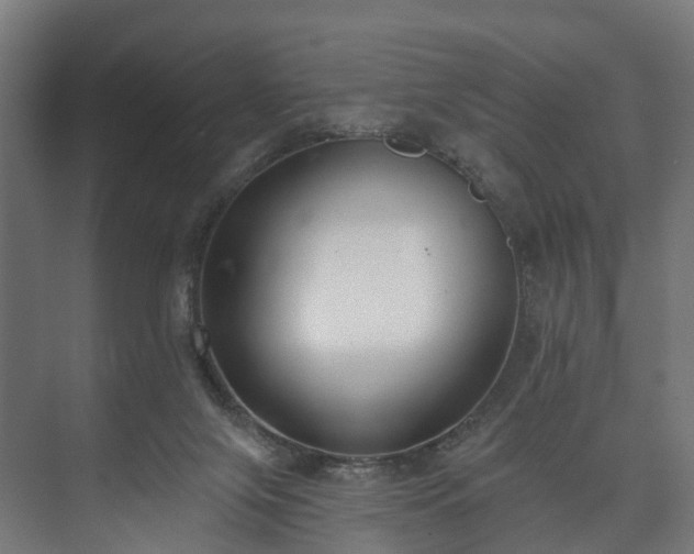 X0000073480071200608071032