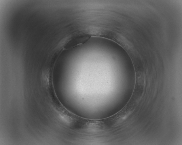 X0000073480072200608071032