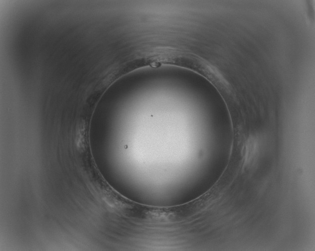 X0000073480073200608071032