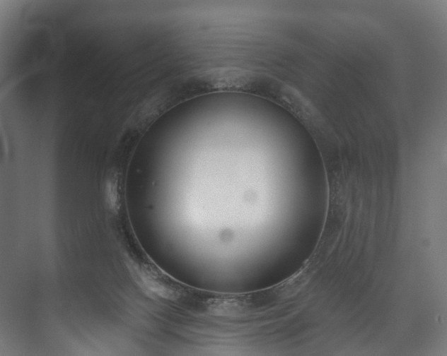 X0000073480074200608071032