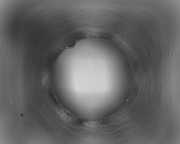 X0000073480079200608071032