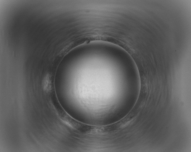 X0000073480080200608071032