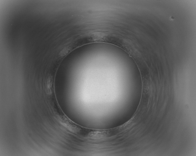 X0000073480082200608071032