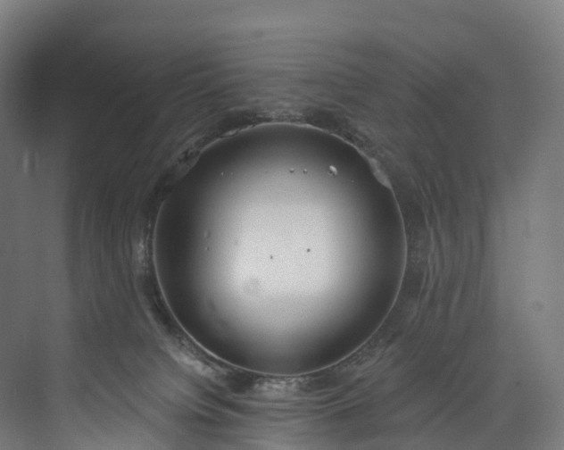 X0000073480084200608071032