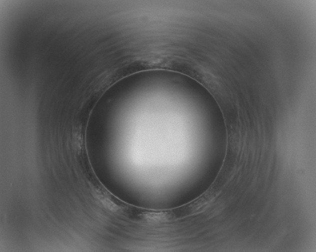 X0000073480085200608071032