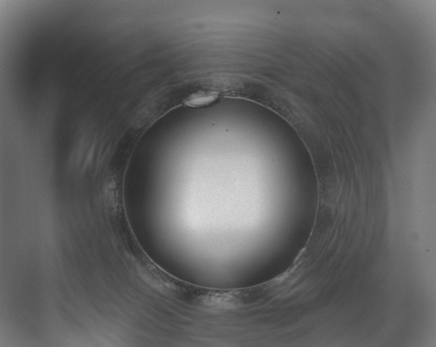 X0000073480086200608071032