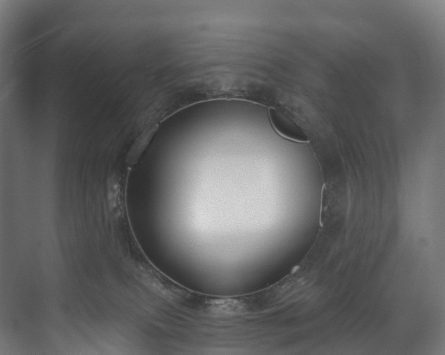 X0000073480087200608071032