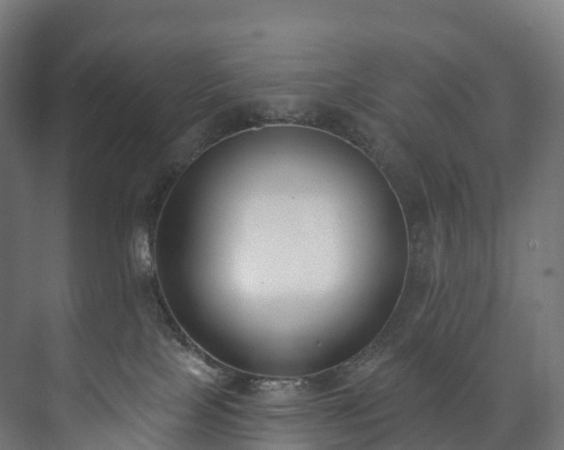 X0000073480089200608071032