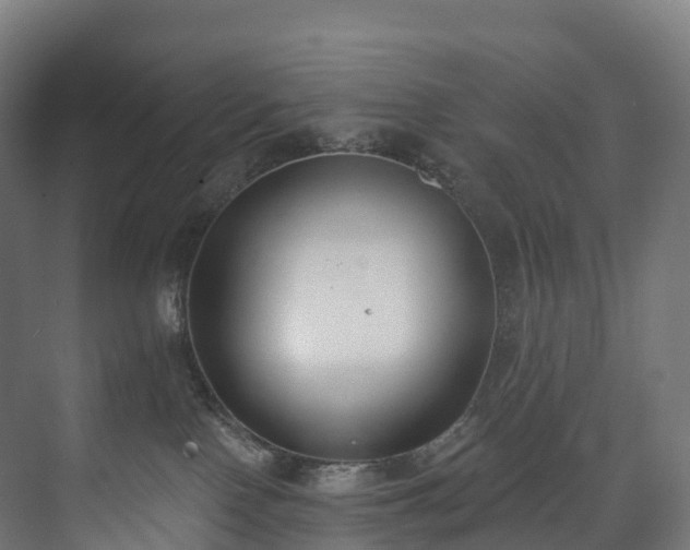 X0000073480090200608071032