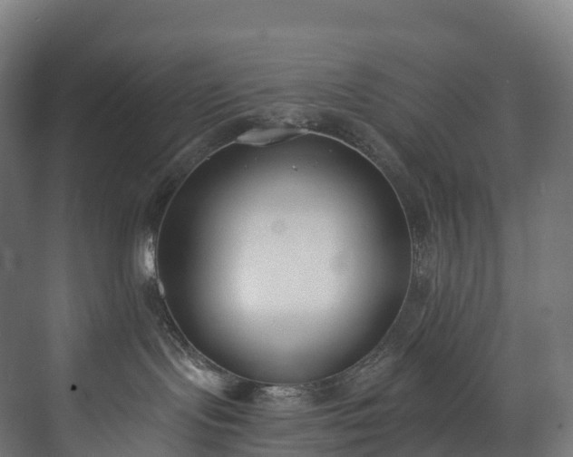 X0000073480095200608071032