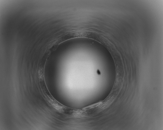 X0000073480096200608071032