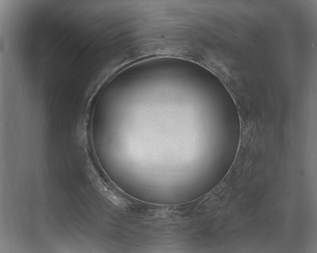 X0000073480098200608071031