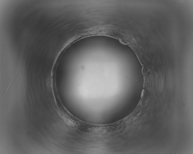 X0000073480100200608071031