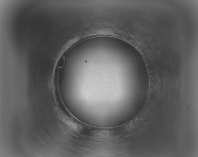 X0000073480104200608071031