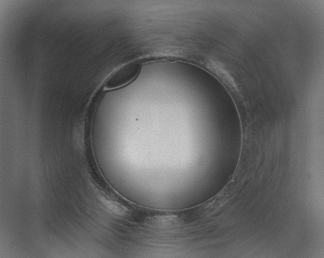 X0000073480108200608071031