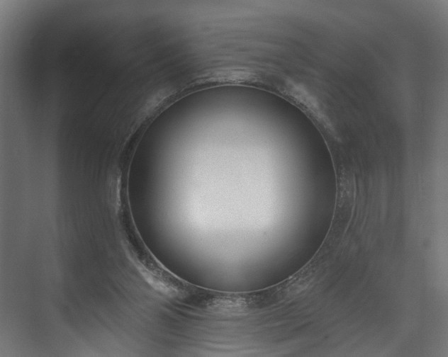 X0000073480110200608071031