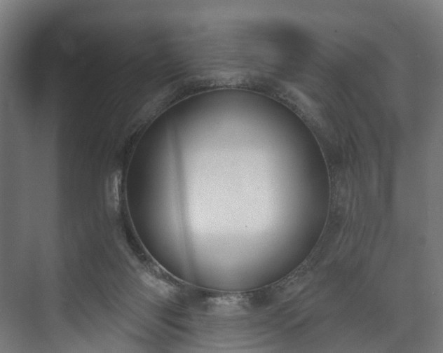 X0000073480118200608071031