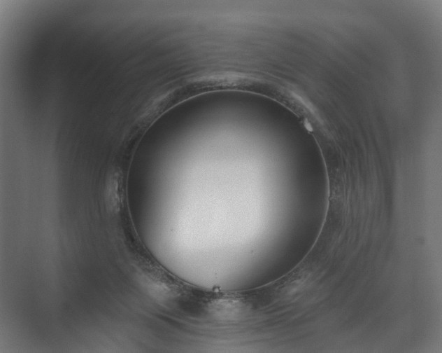 X0000073480119200608071031