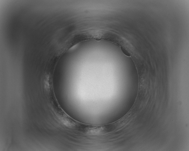 X0000073480122200608071031