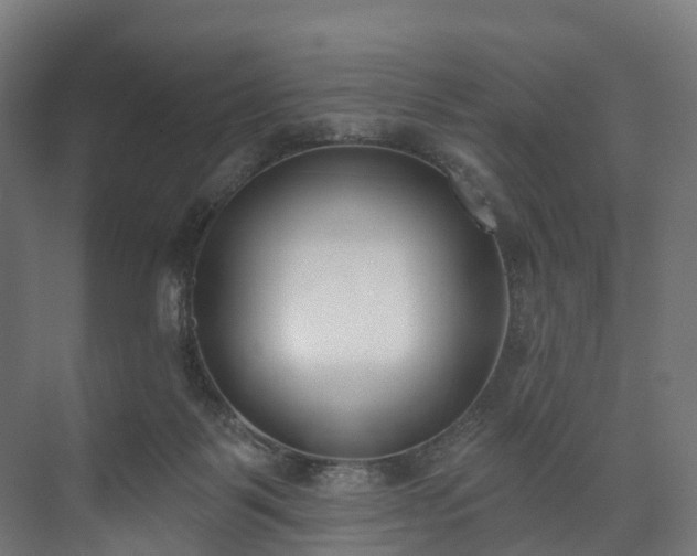 X0000073480123200608071031