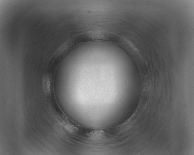 X0000073480124200608071031