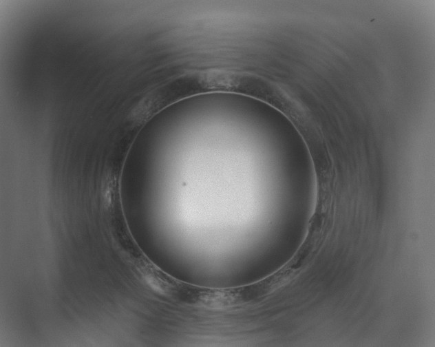 X0000073480125200608071031