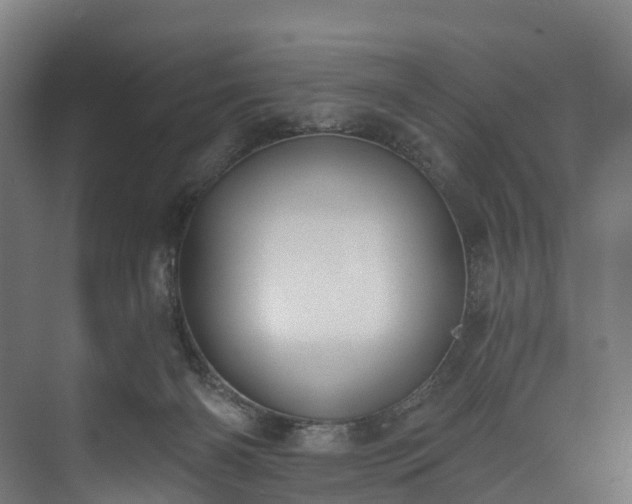 X0000073480126200608071031