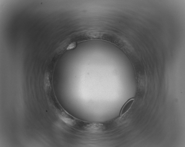 X0000073480128200608071031