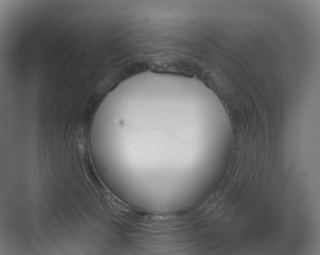 X0000073480129200608071031