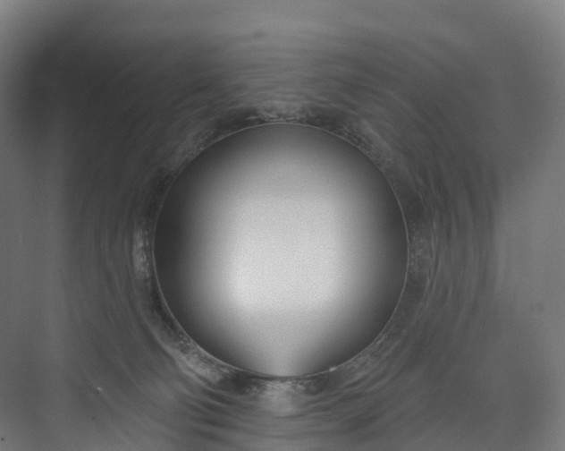 X0000073480130200608071031