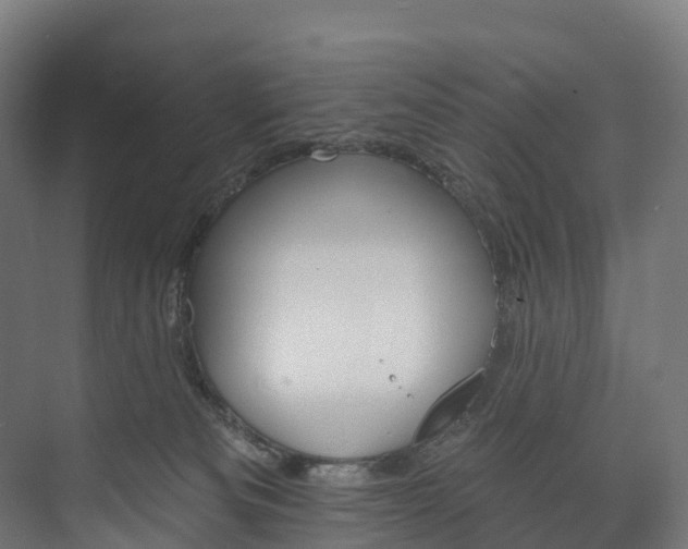 X0000073480133200608071031