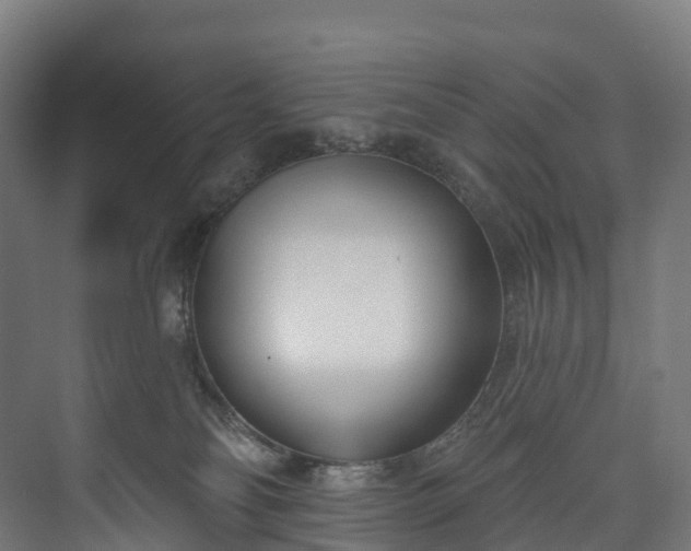 X0000073480134200608071031