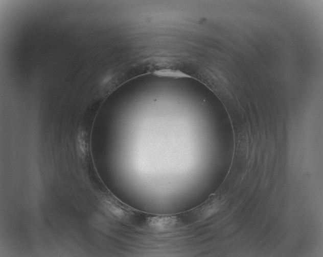 X0000073480135200608071031