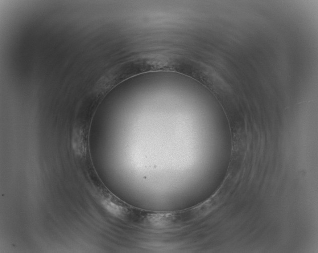 X0000073480136200608071031