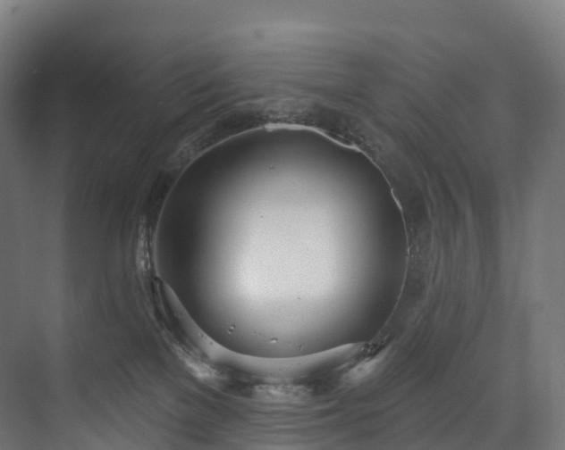 X0000073480137200608071031