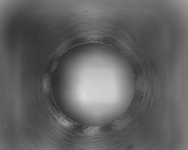 X0000073480138200608071031