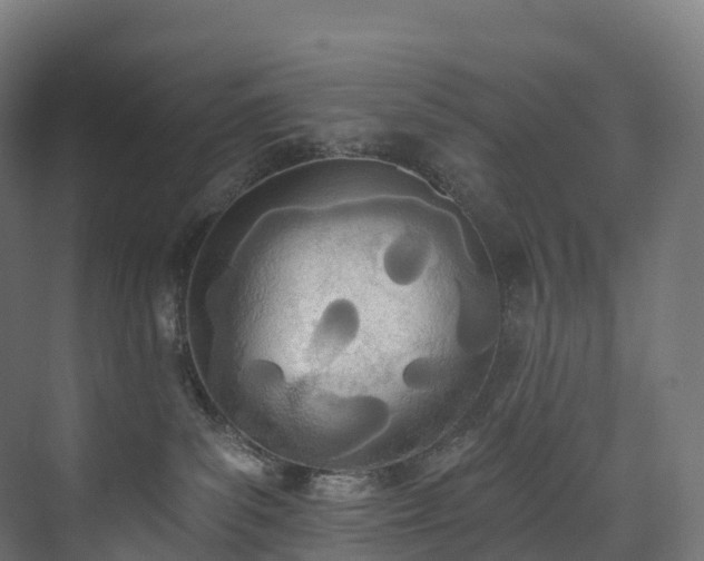 X0000073480139200608071030