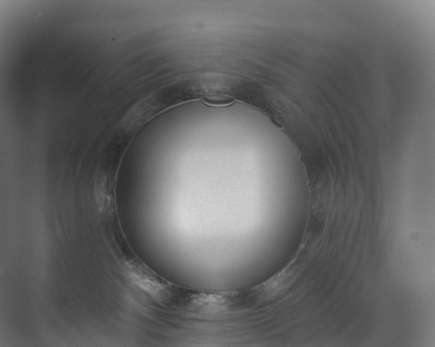 X0000073480140200608071030