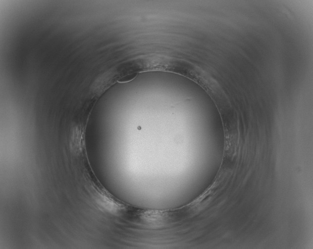 X0000073480142200608071030