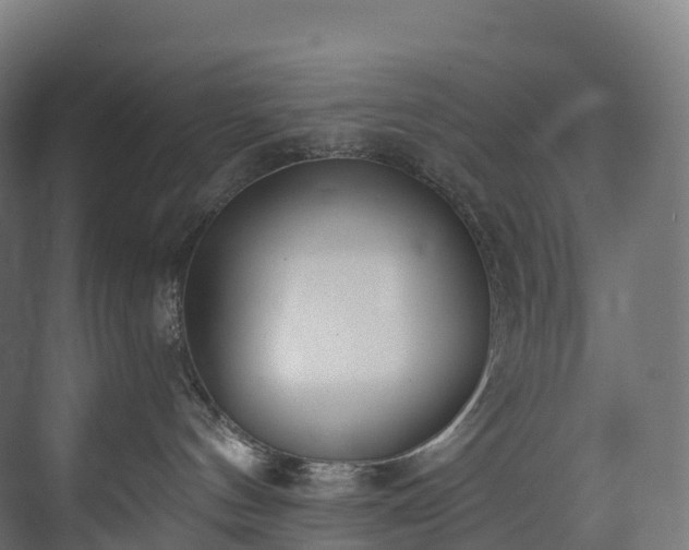 X0000073480144200608071030