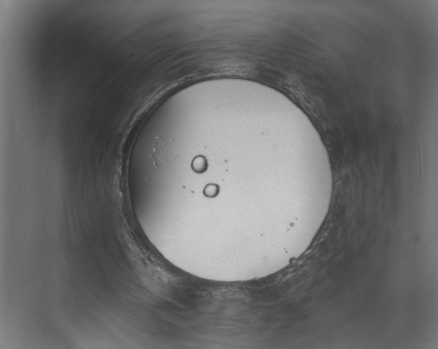 X0000073480146200608071030