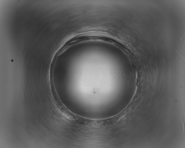 X0000073480148200608071030