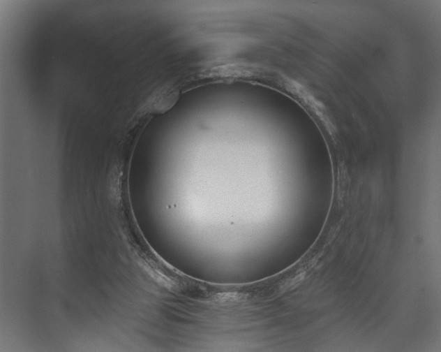 X0000073480153200608071030